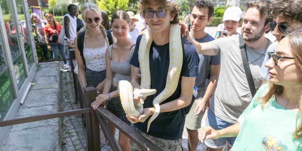 Değişim Programıyla Gelen Öğrenciler Mersin’in Güzelliklerine Doyamadı