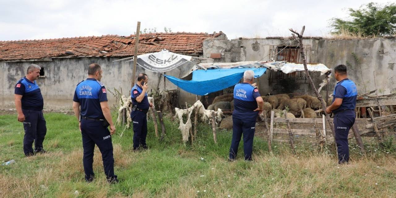 Samsun’da Uyarı Yapılan 12 Ahırın Faaliyetine Son