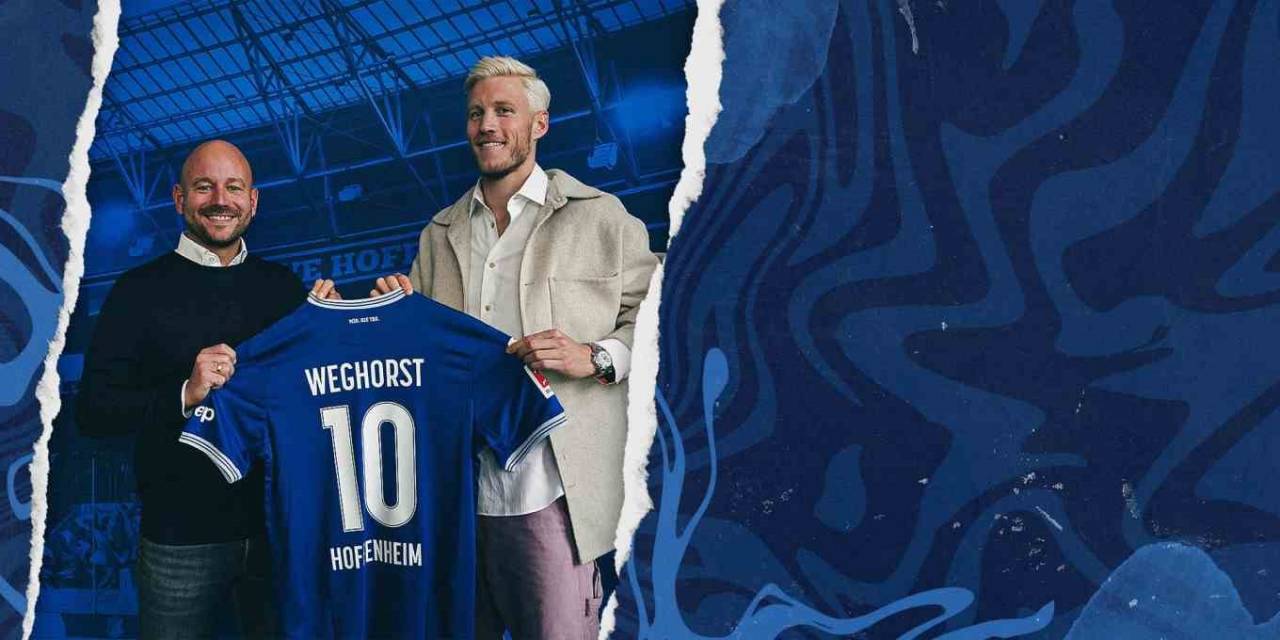 Wout Weghorst, Hoffenheim’da