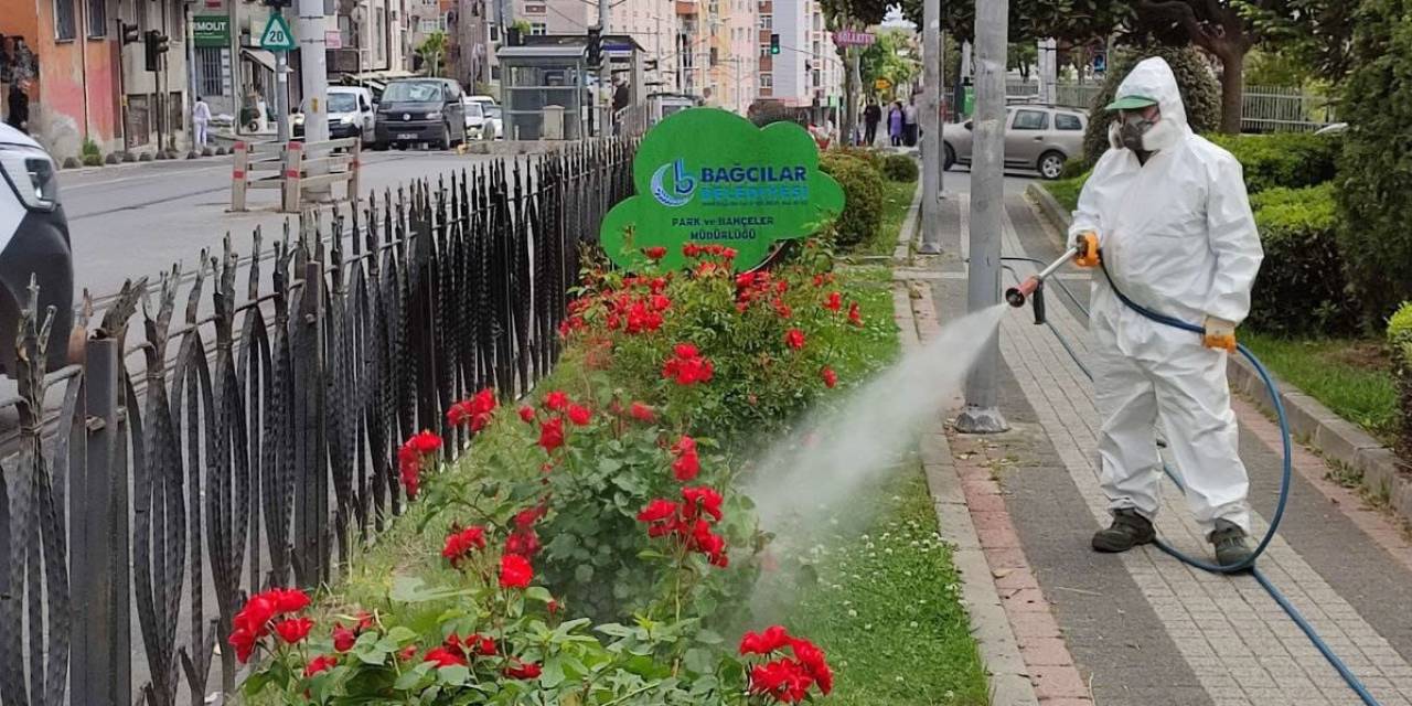Bağcılar Belediyesi Bitlerle Mücadelesini Sürdürüyor