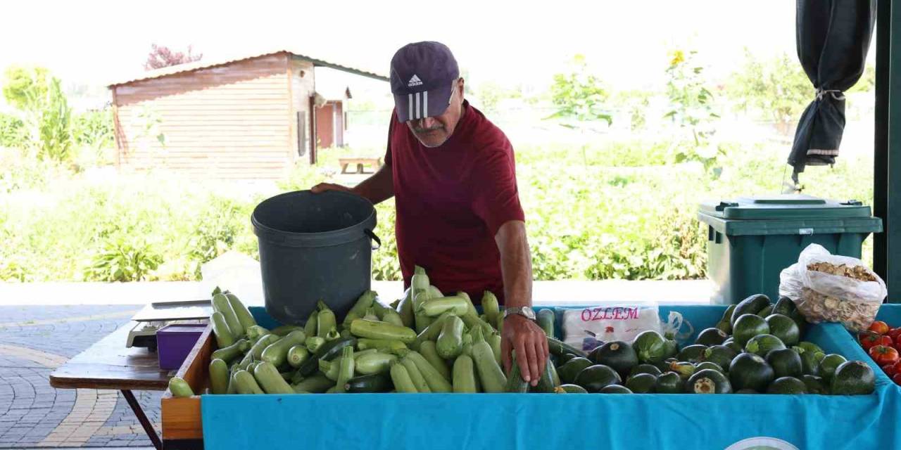 Büyükşehir Belediyesi Doğal Ürünler Bahçesi, Kayserililere Kapılarını Açtı