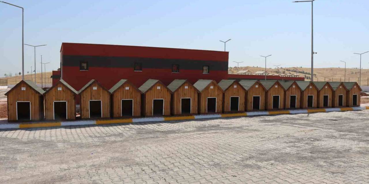 Sokak Hayvanları Rehabilitasyon Merkezi İnşaatı Tamamlandı