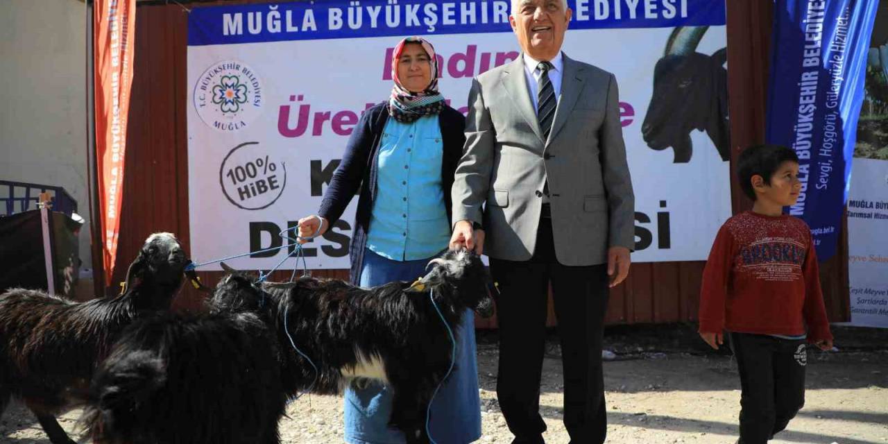 Büyükşehir’in Kıl Keçisi Desteği 3 İlçede Devam Ediyor