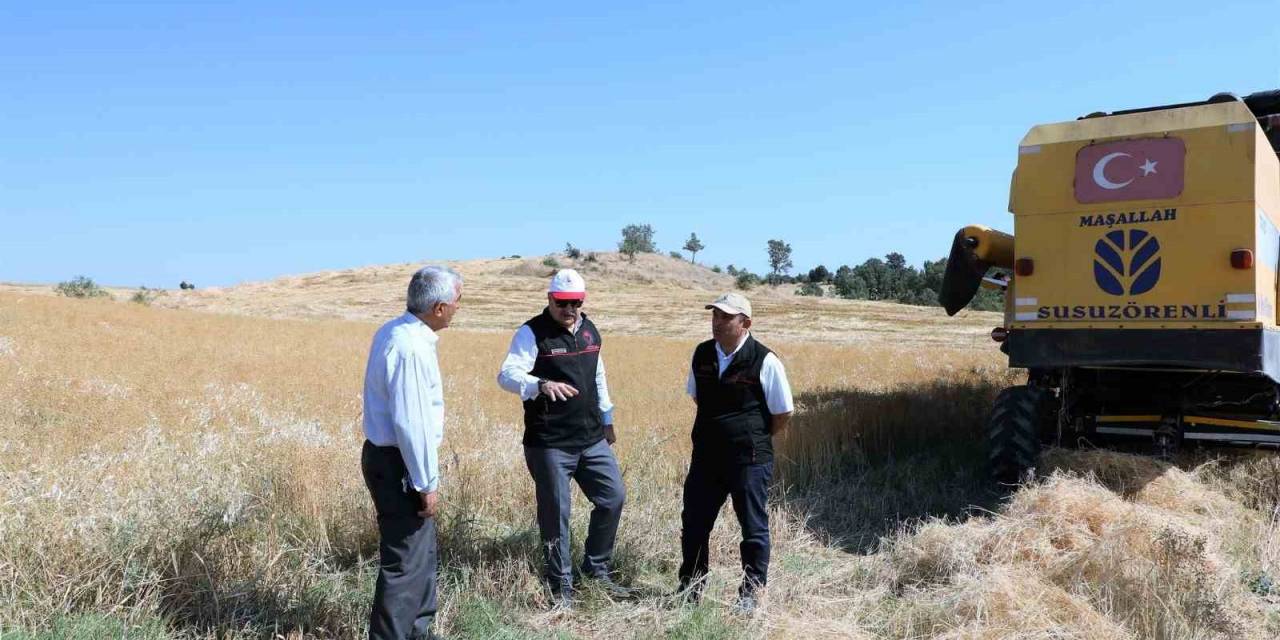 Uşak’ta Keten Hasadı Bereketli Başladı