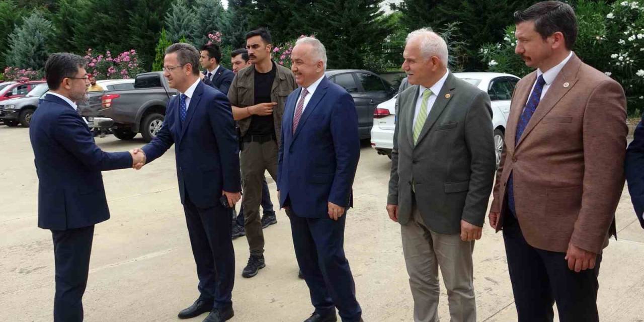 Tarım Ve Orman Bakanı Yumaklı: “giresun Fındığı Dünya Markası Oldu”