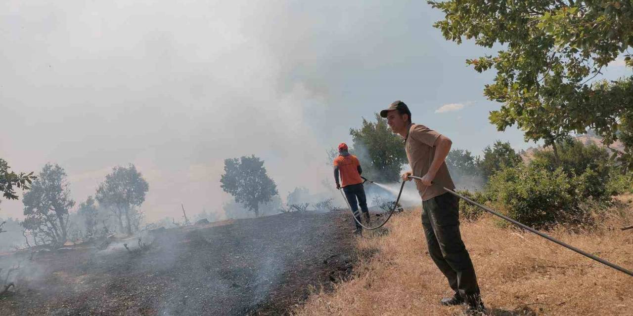 Bingöl’de 5 Farklı Noktada Çıkan Yangın Kontrol Altına Alındı