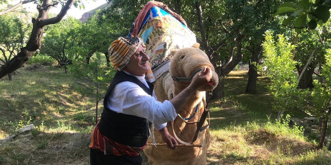 Özel Günlerin Aranan Eğlencesi Geleneksel Deve Oyunu Her Yaştan İnsanların İlgisini Çekiyor