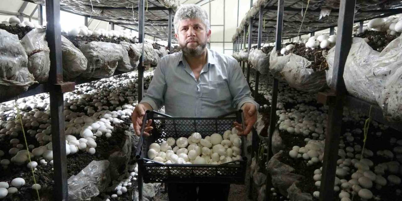 İki Ayda 5-6 Ton Üretiyor, Taleplere Yetişemiyor