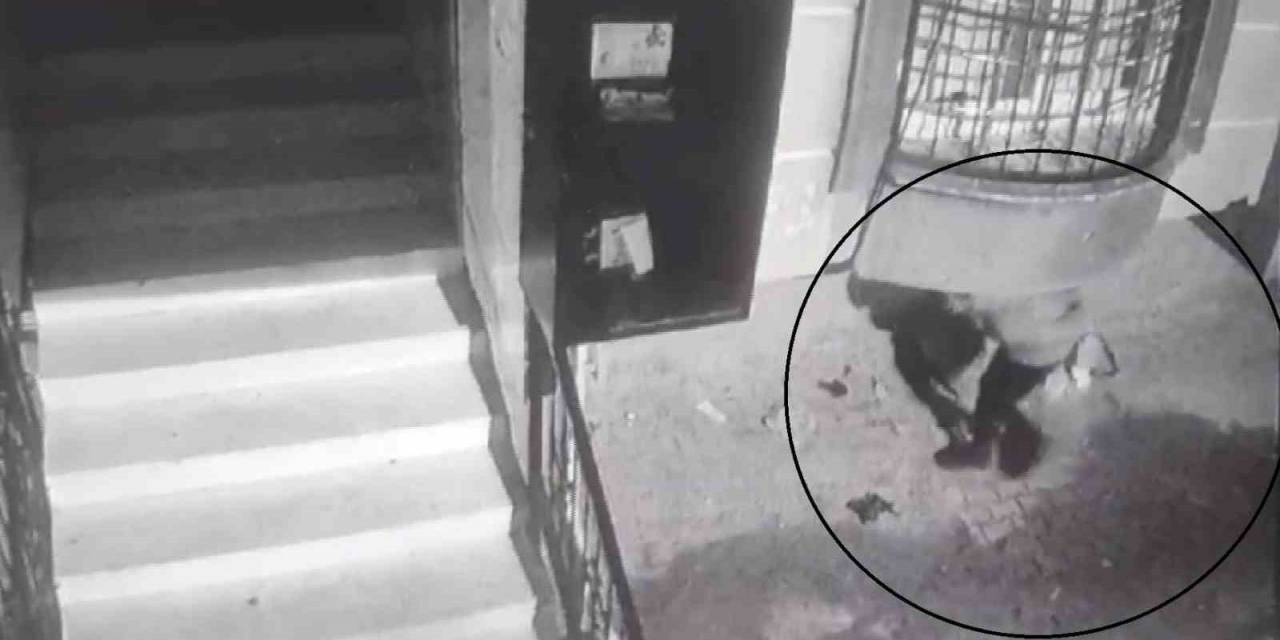 Balkon Altına Gizlenerek Gelip Motosikleti Çaldı, Yakalanmaktan Kurtulamadı