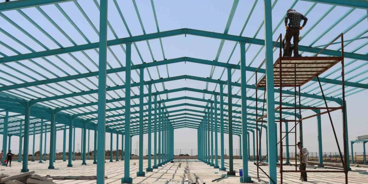 Şanlıurfa Büyükşehir’den Viranşehir’e Modern Hayvan Pazarı