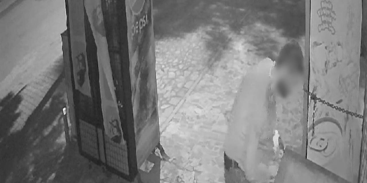Büfeye Dadanan Dondurma Hırsızı Kameralara Yakalandı