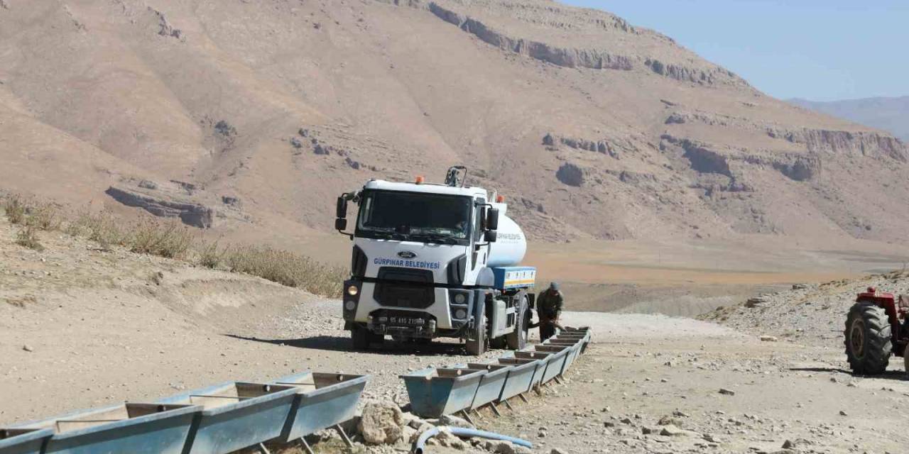 Susuz Kalan Koyun Sürülerine Tankerle Su Sevkiyatı