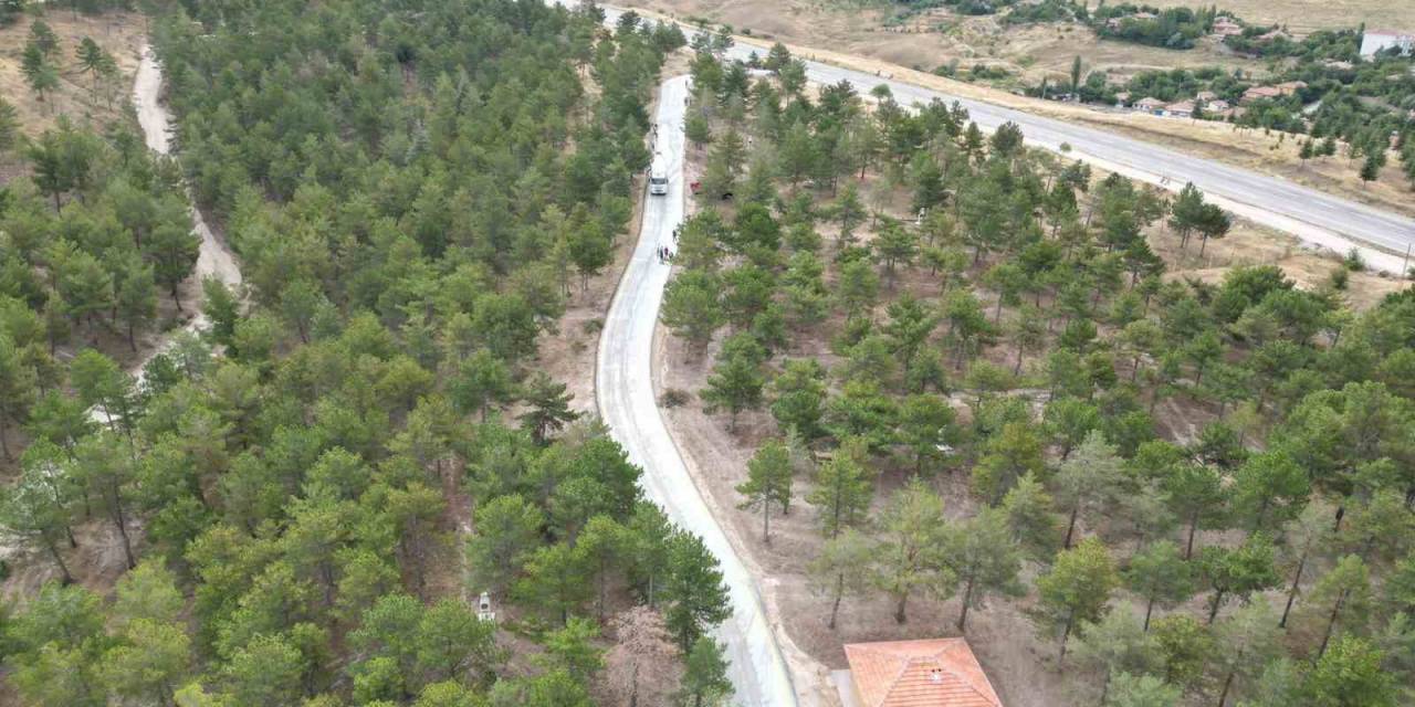 Eko-turizm Alanına Dönüştürülen Bahabey Çamlığı Kullanıma Açıldı