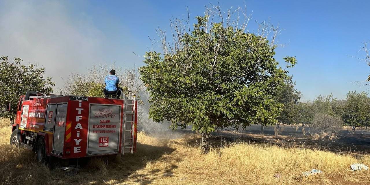 Gaziantep’te Örtü Yangınını İtfaiye Ve Vatandaşlar Söndürdü