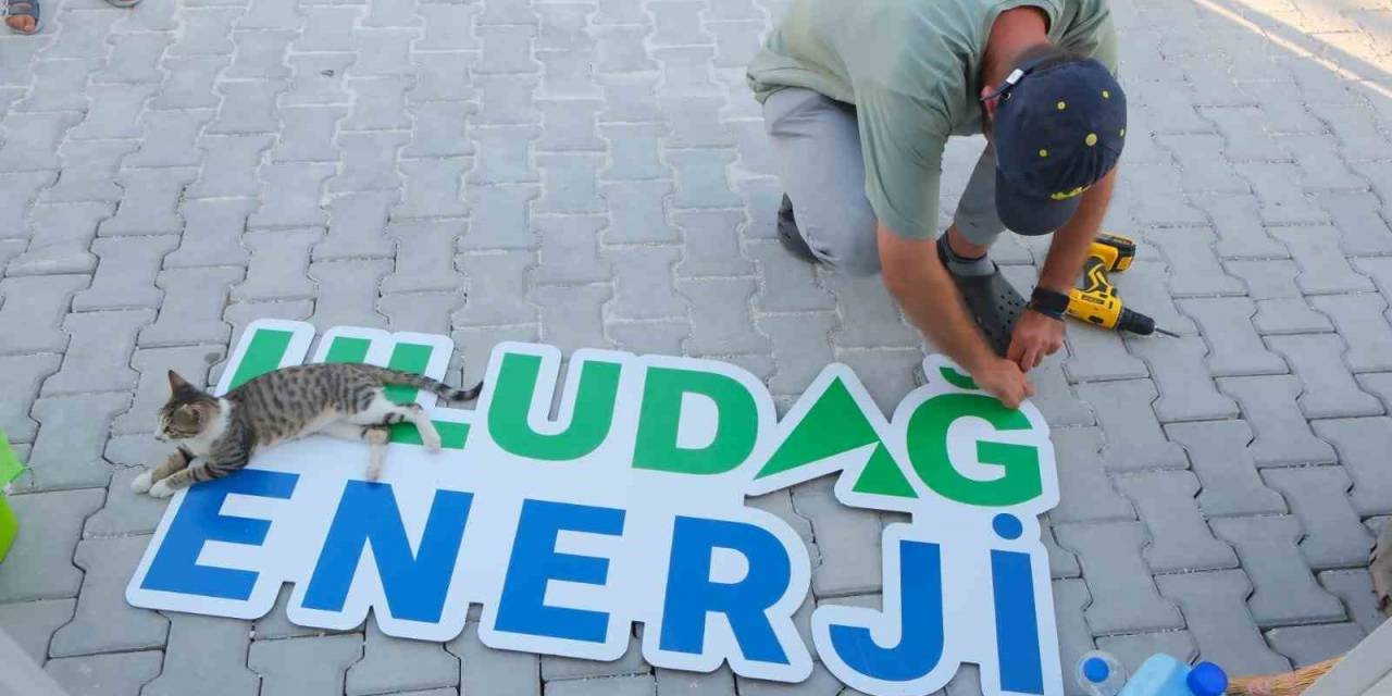 Uludağ Enerji, Hatay Kampüsünde Sokak Hayvanlarını Unutmadı
