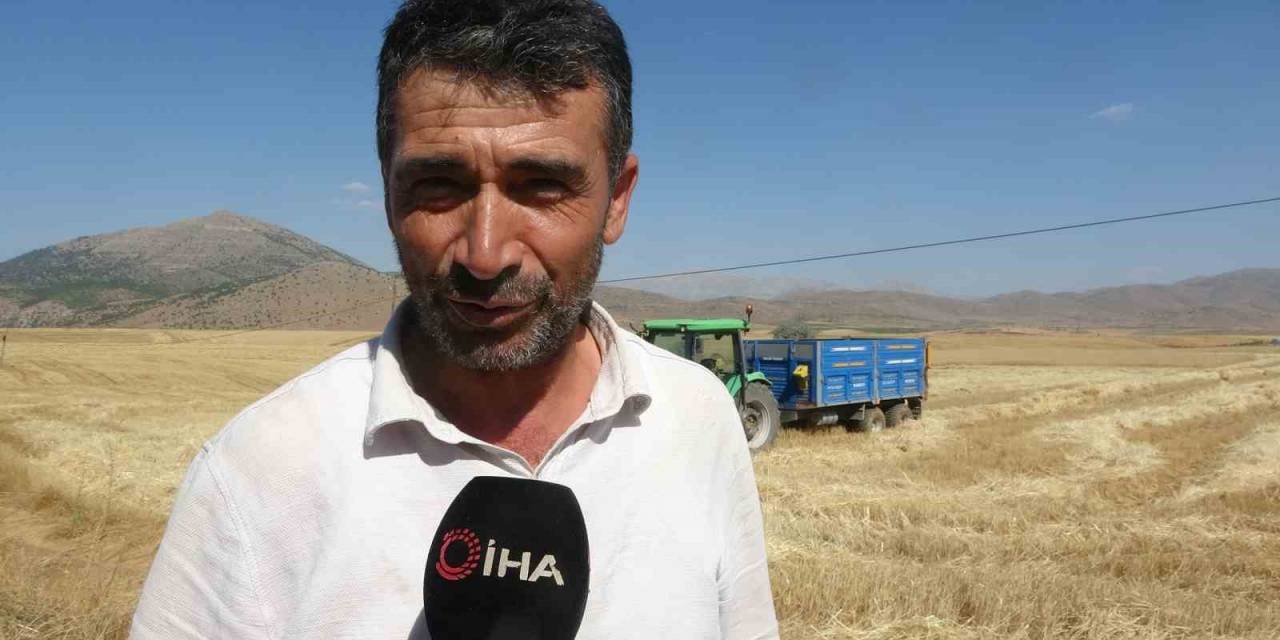 160 Bin Dönümde Buğday Hasadı, Verim Üreticinin Yüzünü Güldürdü