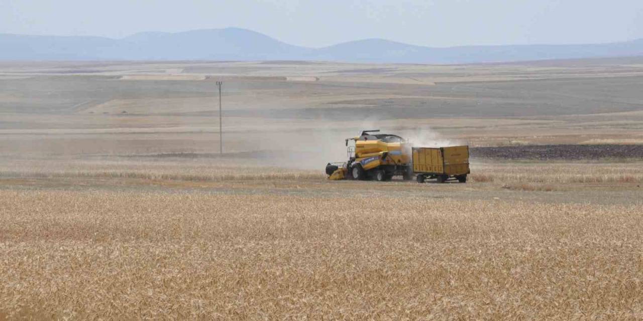 Kars’ta Arpa Hasadı Başladı