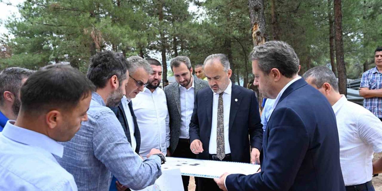 Bursa’da Sokak Hayvanları İçin Rehabilitasyon Merkezi