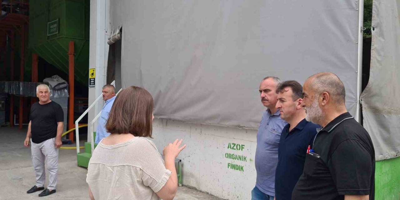 Zonguldak’a 6 Milyon Dolarlık Fındık Entegre Tesisi Yatırımı