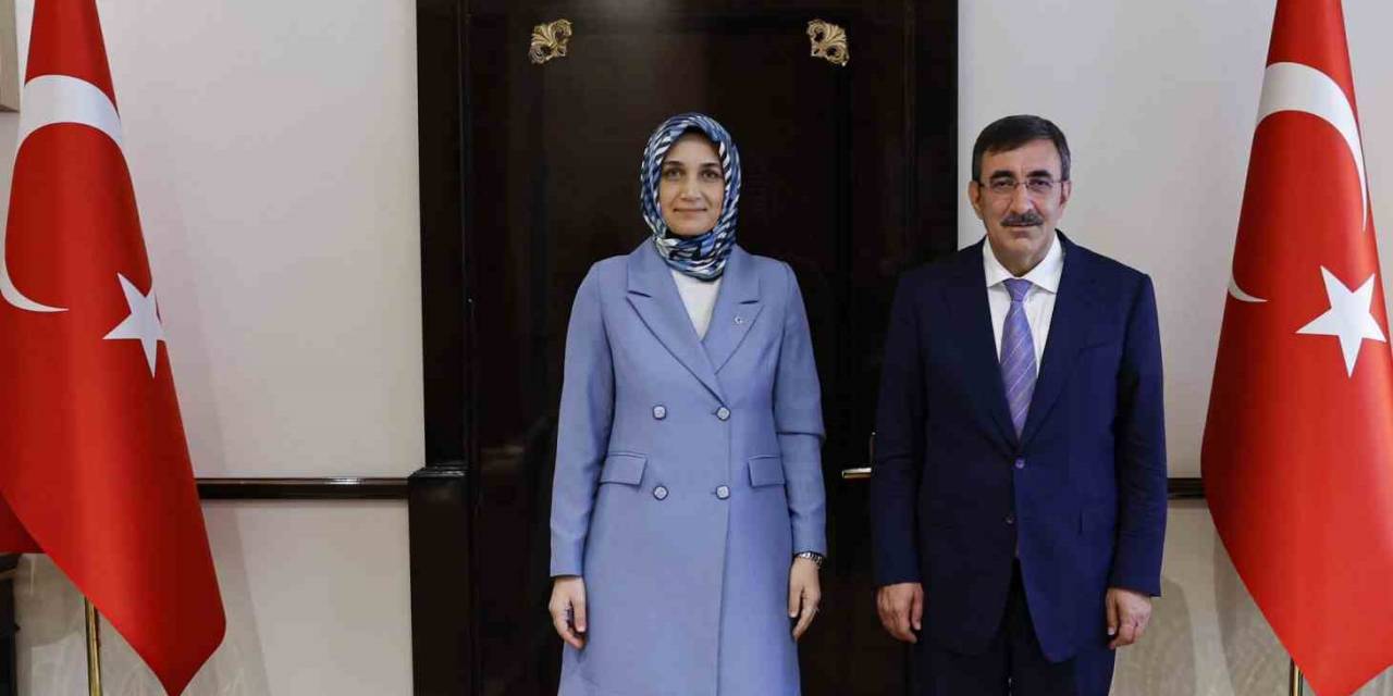 Vali Yiğitbaşı, Cumhurbaşkanı Yardımcısı İle Görüştü