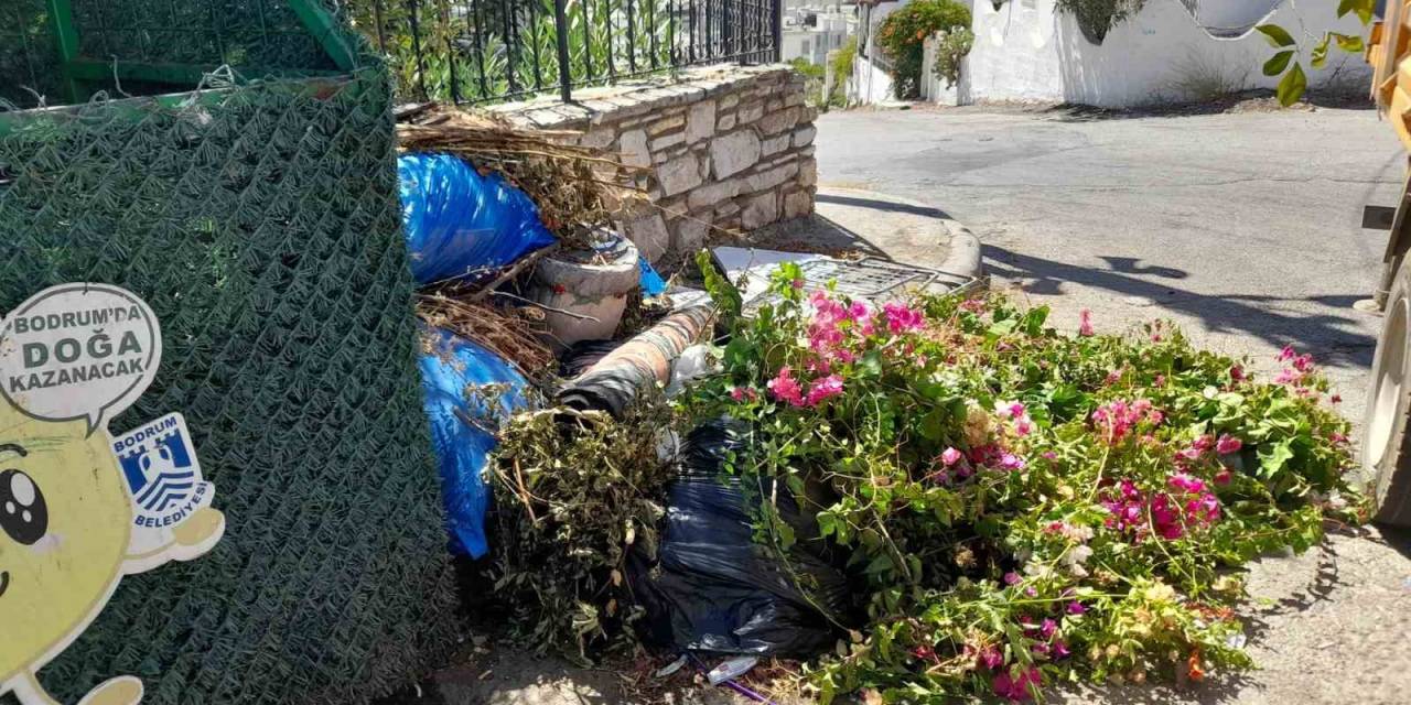 Boş Konteynerlerin Çevresi Çöplüğe Döndü