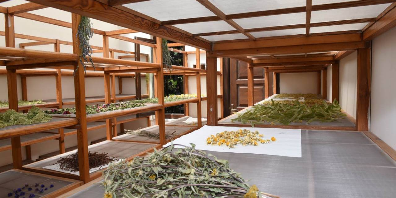 İstanbul’un Ortasında Şifa Dolu Bir Bahçe