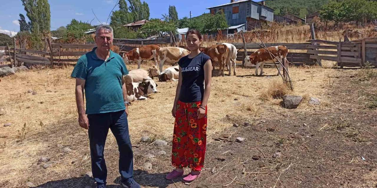 Üniversiteden Mezun Olan Genç Kıza 5 Düve Hibe