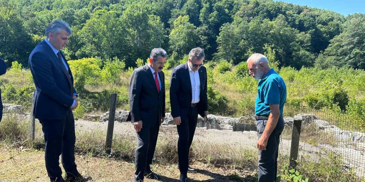 Cumhurbaşkanlığı Savunma Sanayii Başkanı Görgün, Fatih Dökümhanesi’nde İncelemelerde Bulundu