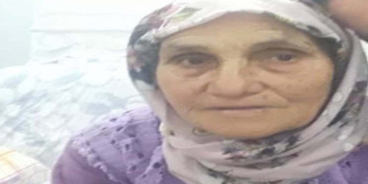 Devrilen Traktördeki Yaşlı Kadın Hayatını Kaybetti