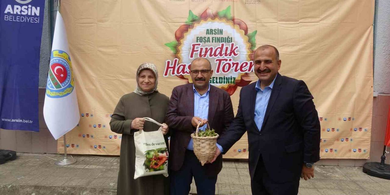 Coğrafi İşaretli Arsin Foşa Fındığı’nın Hasadı Törenle Başladı