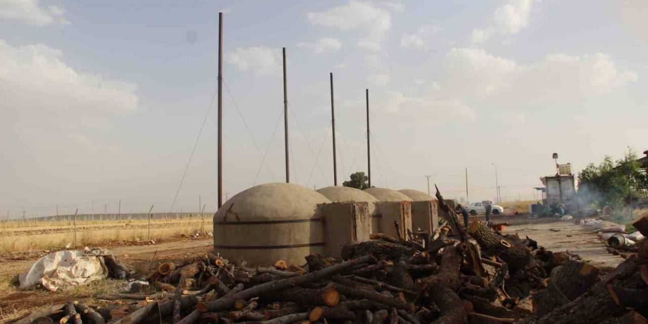 Cizre’de 300 Derecelik Fırınlarda Meşe Ağacından Mangal Kömürü Üretiyorlar