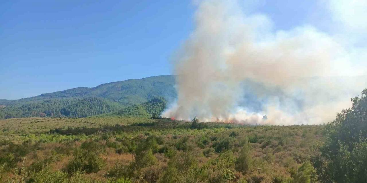 Burdur’da Orman Yangını Havadan Ve Karadan Müdahale İle Kontrol Altına Alındı.