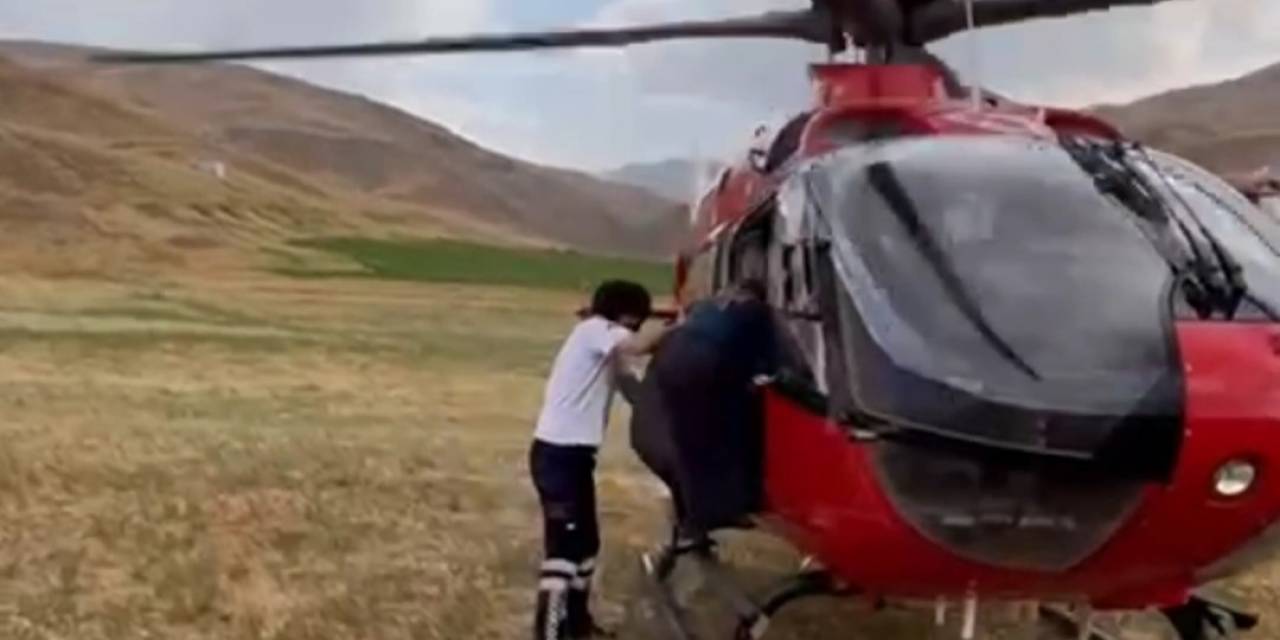 Van’da Arı Sokmasıyla Rahatsızlanan Kadın Ambulans Helikopterle Hastaneye Kaldırıldı