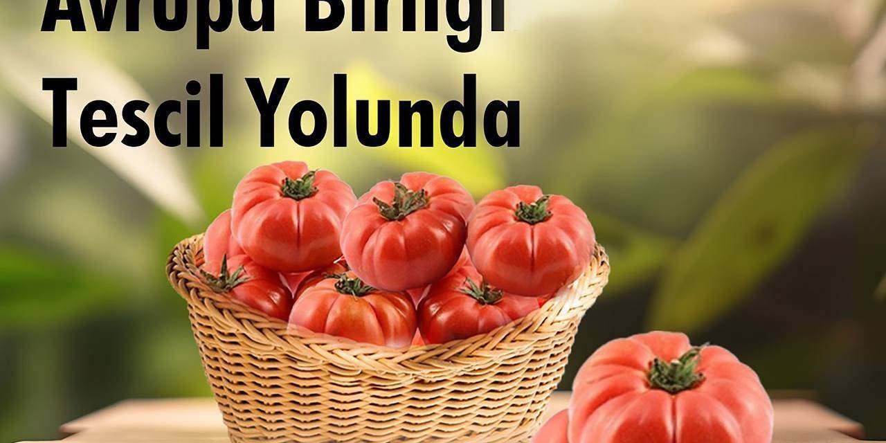 Bakan Kacır: "ayaş Domatesi, İnceleme Süreçlerinin Tamamlanmasıyla Ab Resmi Gazetesi’nde Yerini Aldı"