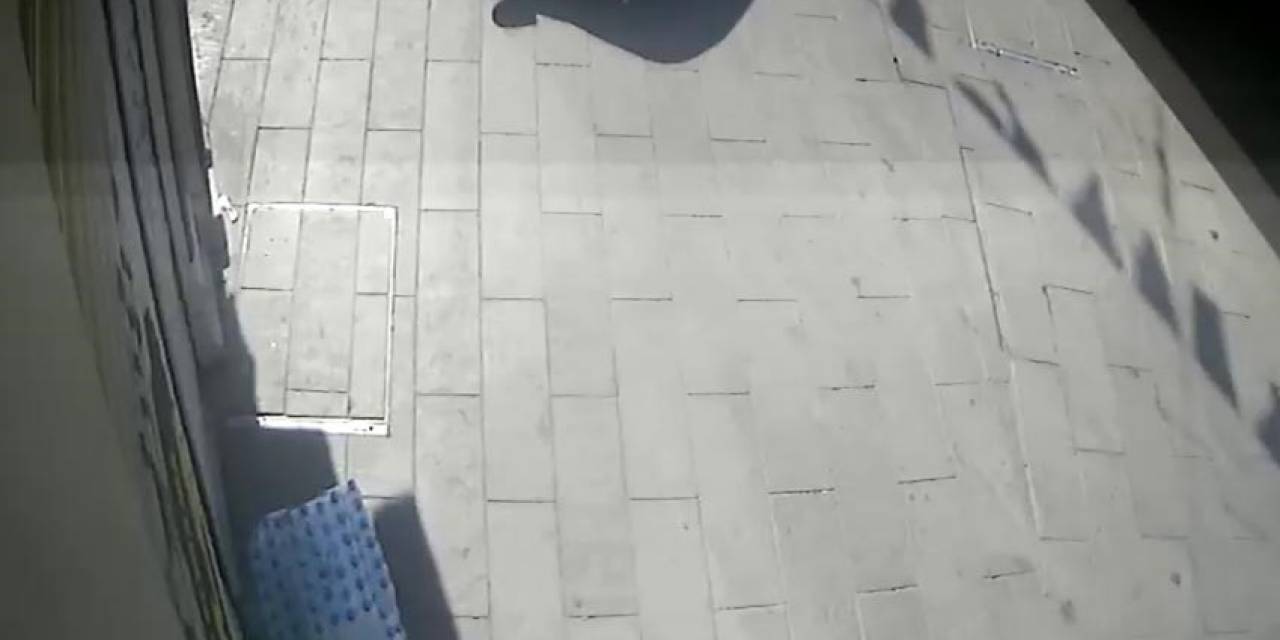 Beyoğlu’nda Feci Olay Kamerada: İbb Aracı Kediyi Ezip Kaçtı
