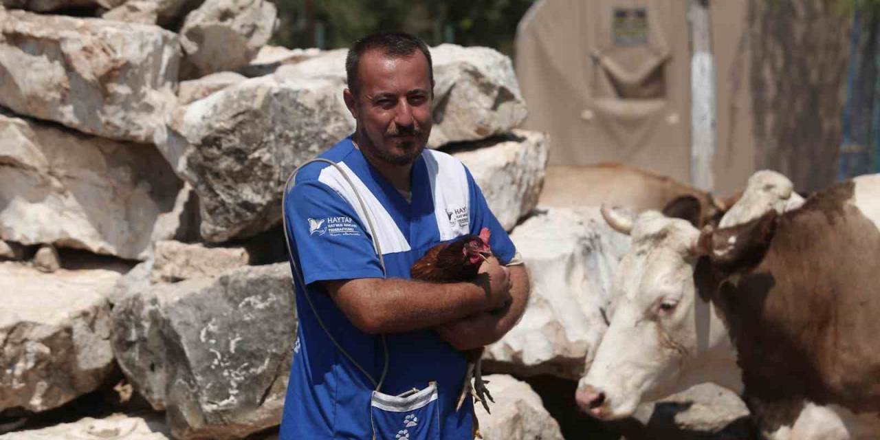 Her Birinin Ayrı Hikayesi Var: Emekli Hayvanlar Böyle Dinleniyor