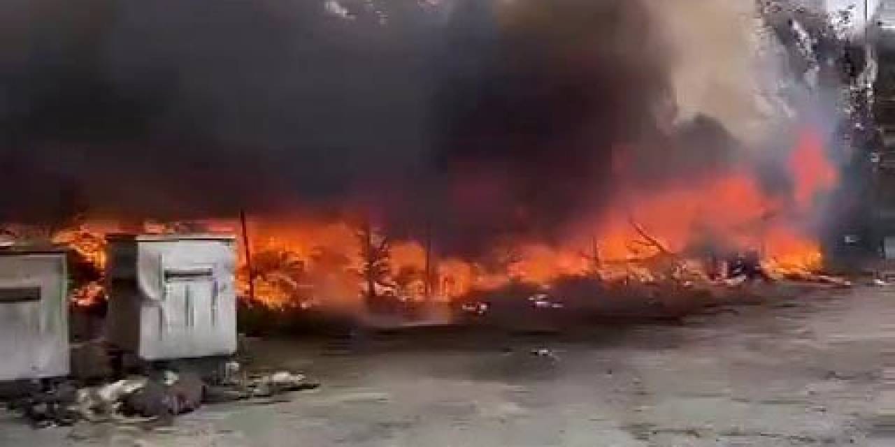 Avcılar’da Serada Çıkan Yangın Paniğe Neden Oldu