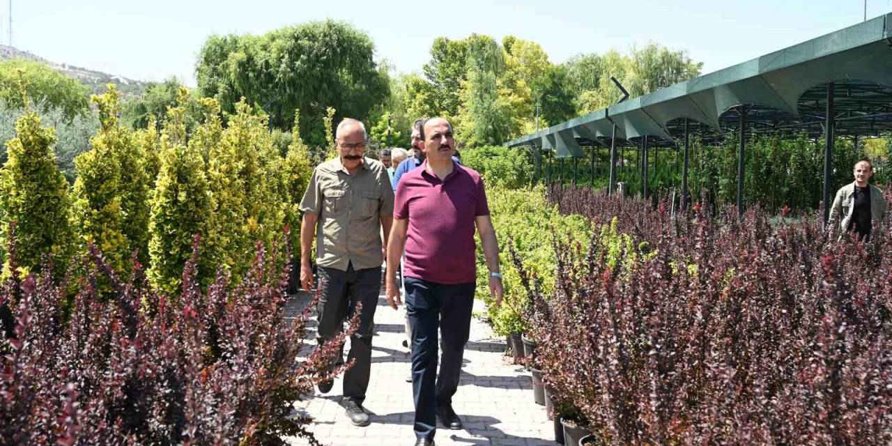 Başkan Altay: "peyzaj Konusunda Büyükşehir Belediyesi Olarak Çok Ciddi Bir Bilgi Birikimine Sahibiz"