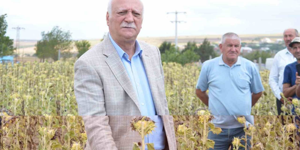 Tzob Başkanı Bayraktar: "birçok Ülke Gıda Milliyetçiliği Yapıyor"