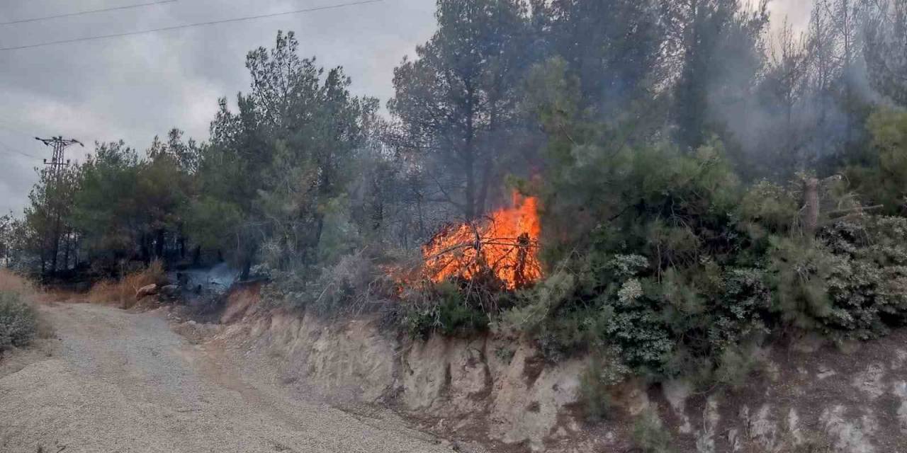 Çanakkale’deki Orman Yangını Kontrol Altına Alındı