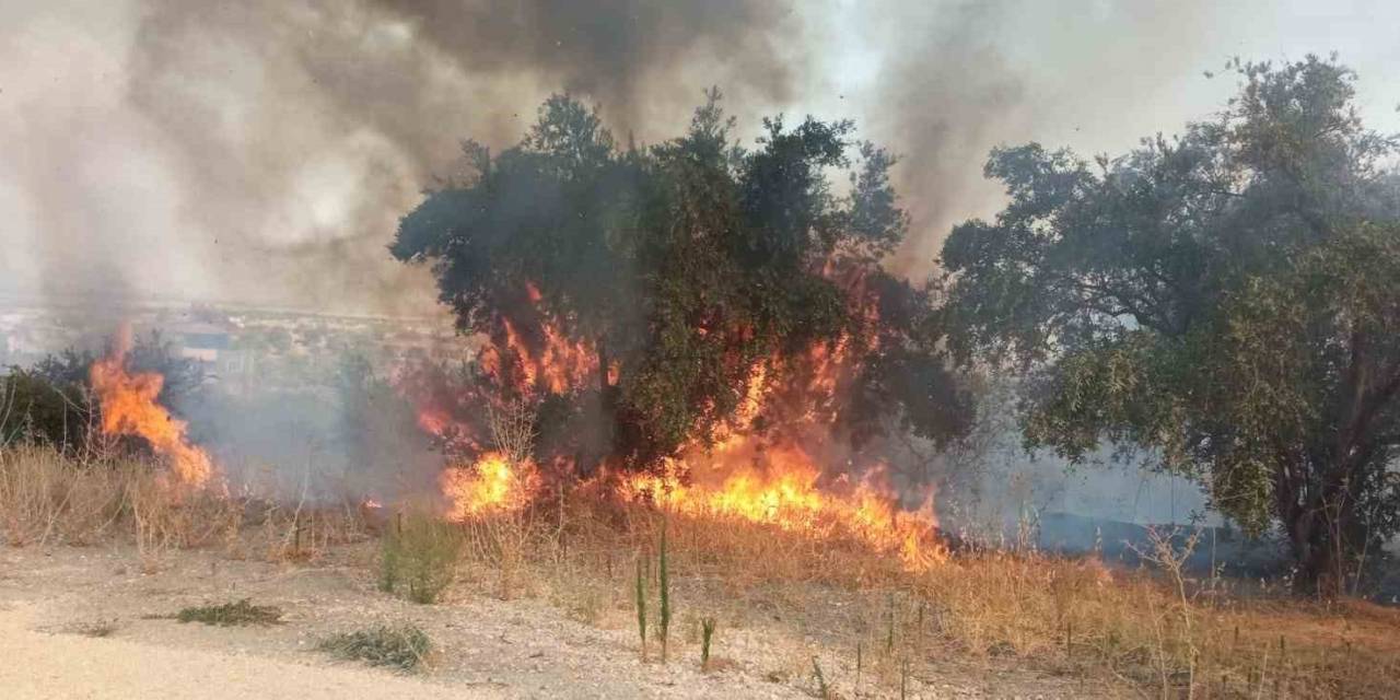 Hatay’da 2 Farklı Noktada Meydana Gelen Yangın, Ormanlık Alana Sıçramadan Söndürüldü