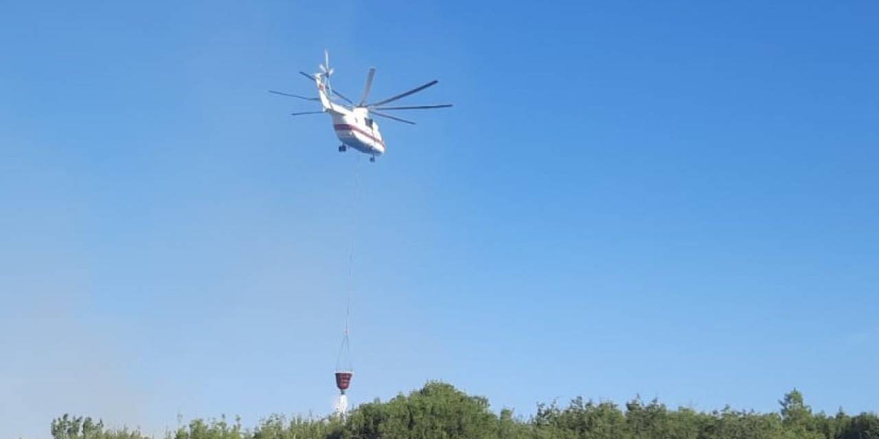 Afyonkarahisar’da Orman Yangını