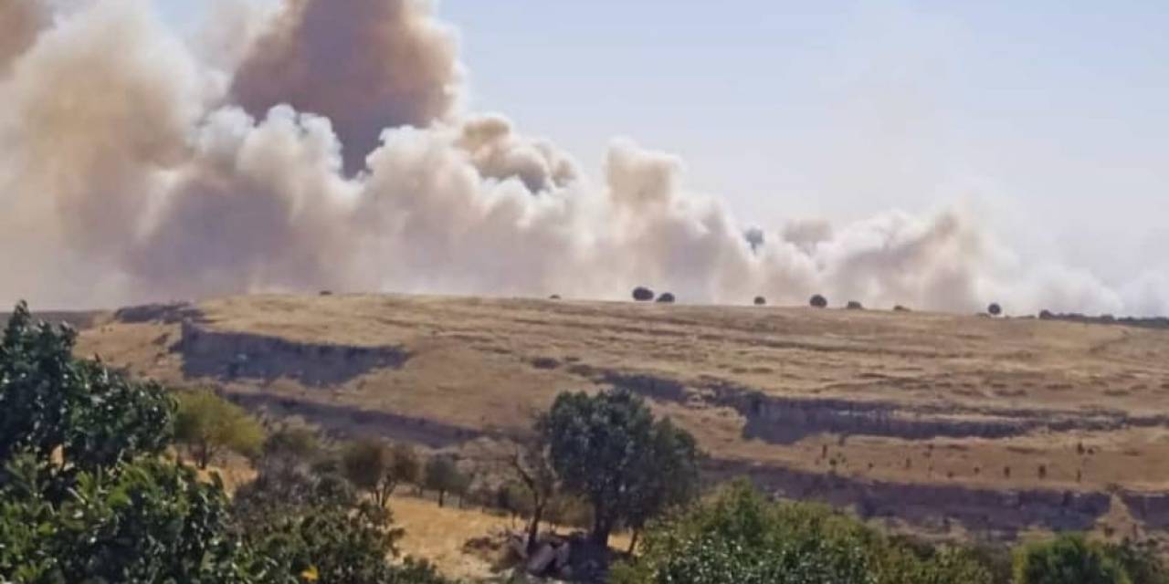 Mardin’de İki Farklı Noktada Çıkan Örtü Yangını Kontrol Altına Alındı