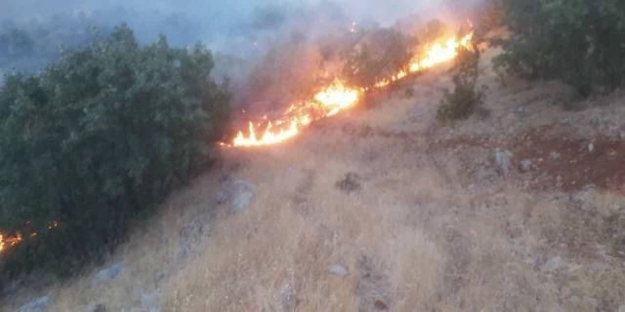 Gerger’deki Orman Yangını Söndürülmeye Çalışılıyor