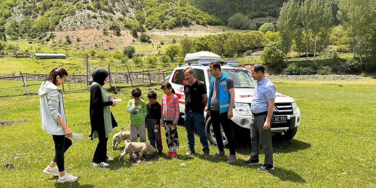 Doğada Bulunurken Kene Popülâsyonuna Dikkat!