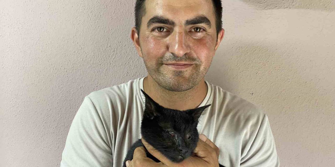 Sokak Hayvanlarının Kahramanı