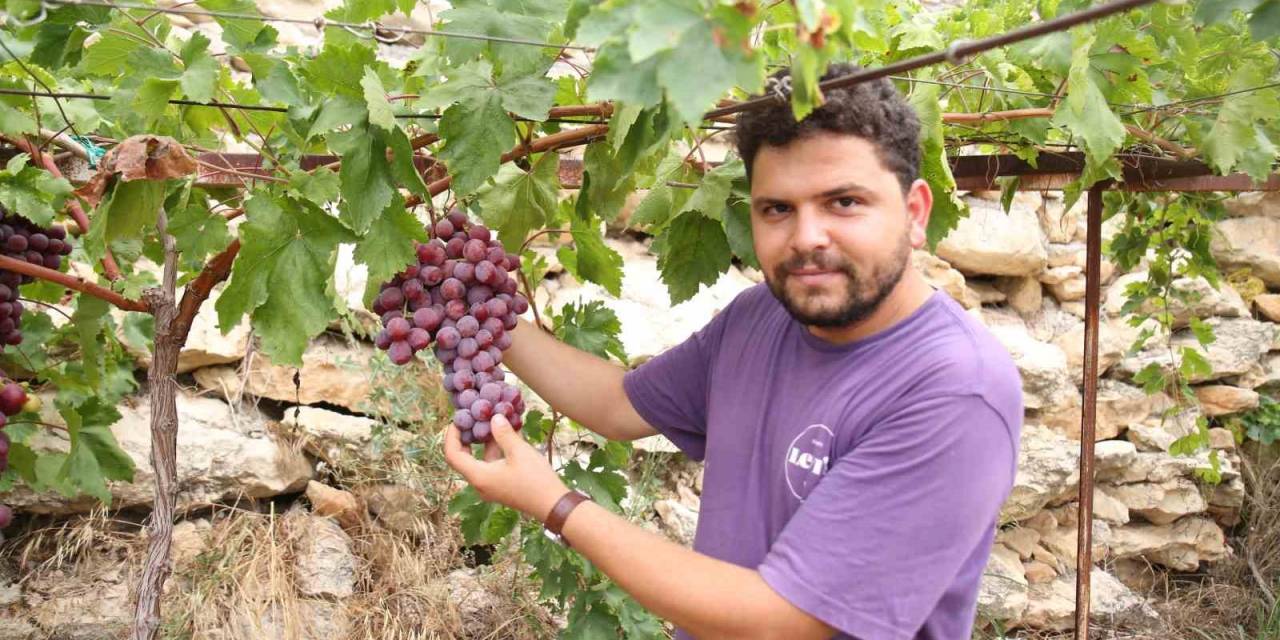 13 Ülkeden 450 Çeşit Üzüm Aynı Bölgede Yetişiyor