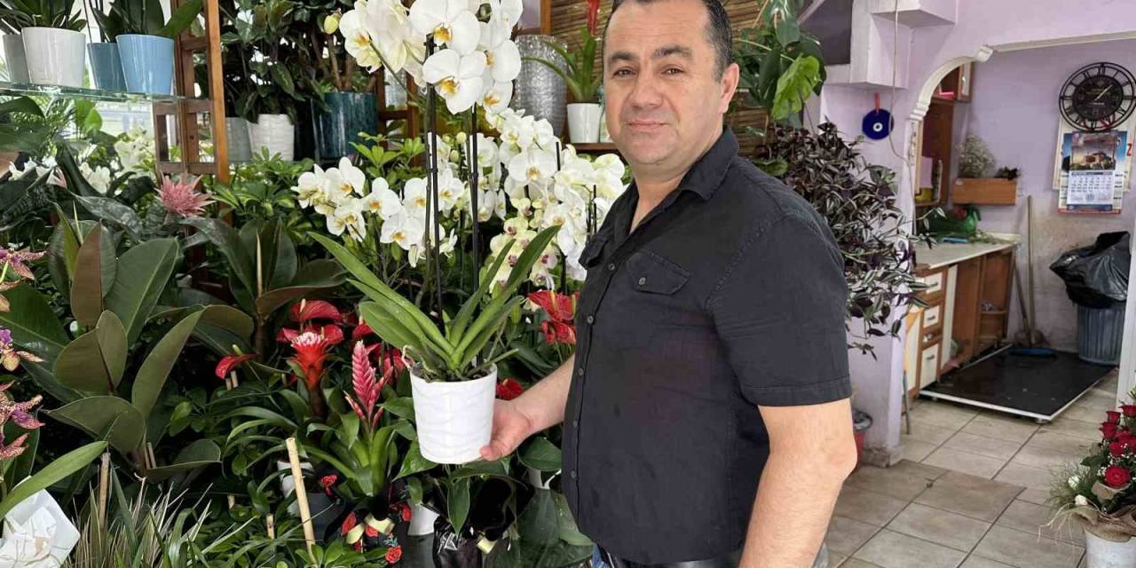 Gece İle Gündüz Sıcaklık Farkında Çiçek Bakımı Nasıl Olmalı