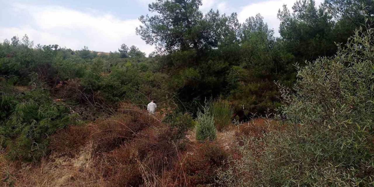 Bilecik’te Ormanlık Alanda Kimliği Belirsiz Erkek Cesedi Bulundu
