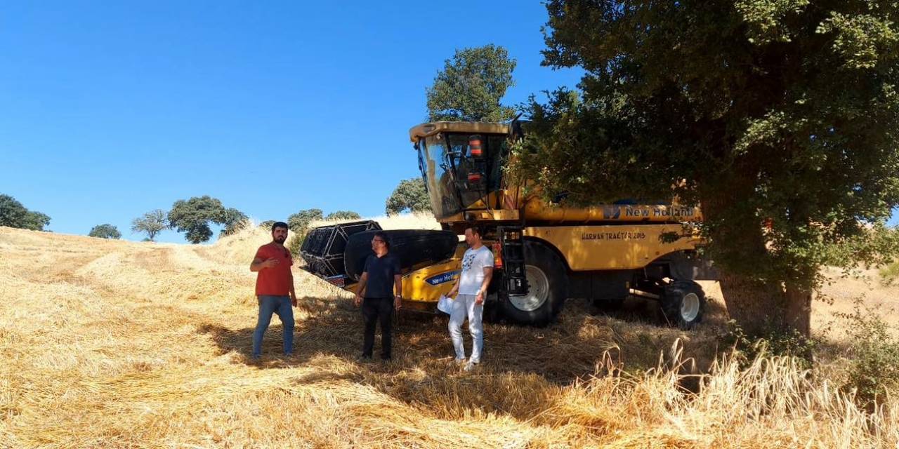 Gediz İlçe Tarım Ve Orman Müdürlüğünden Dane Kaybı Uyarısı